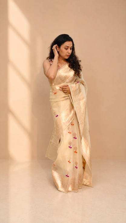 SHEETAL — Ivory Organza Banarasi Silk Saree