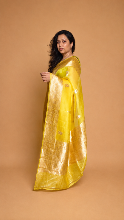 HALDI — Sunshine Yellow Organza Banarasi Silk Saree